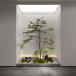 Indoor landscape plant pile landscape sketch 3d model