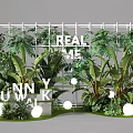 Lush Tropical Green Plants With White Grid Frame And Spherical Ornaments 3d model