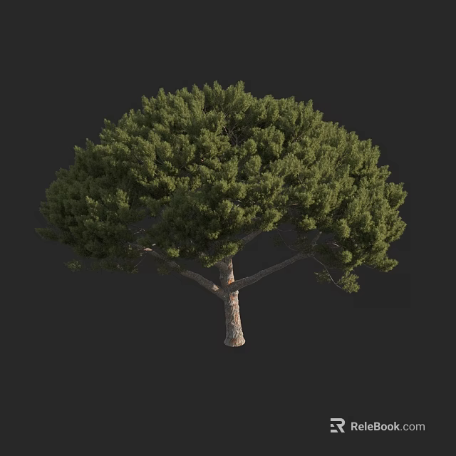 Lush Green Arbor With Dense Foliage Strong Trunk And Natural Crown Shape 3d model 