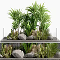 Lush Tropical Shrubs With Green Plants Stones And Elevated Gray Platform 3d model
