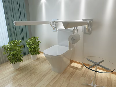 Modern Bathroom Interior With White Toilet Grab Bars Green Plants And Glass Table 3d model