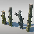 Natural Wood Stumps With Green Moss And Rough Bark Texture 3d model