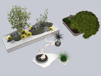 Decorative Plant Combinations with Shrubs Small Plants and Stones in Rectangular Planters 3d model