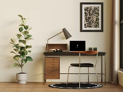 Modern Desk Setup With Desk Lamp Laptop Potted Plant Wooden Chair And Round Rug 3d model