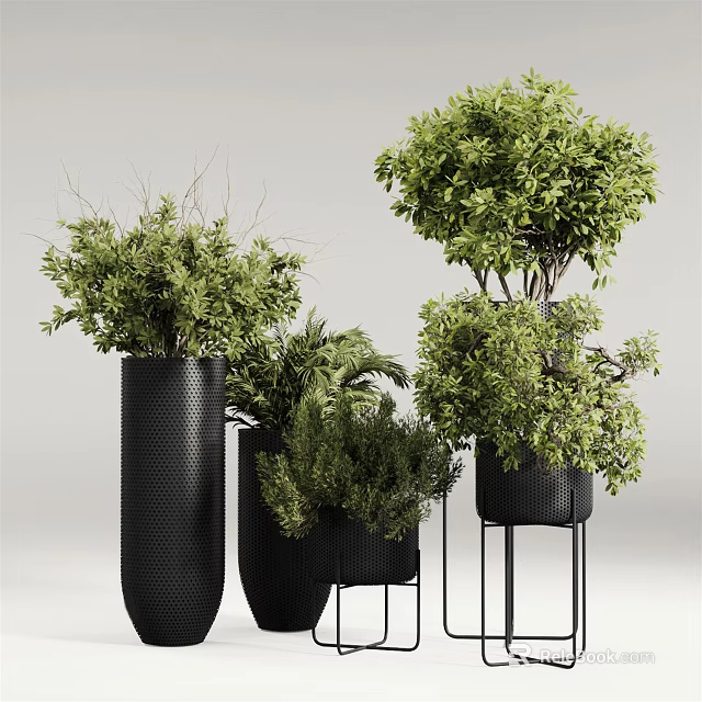 Stylish Bonsai Potted Plants in Black Planters with Metal Stands for Indoor Decor 3d model 