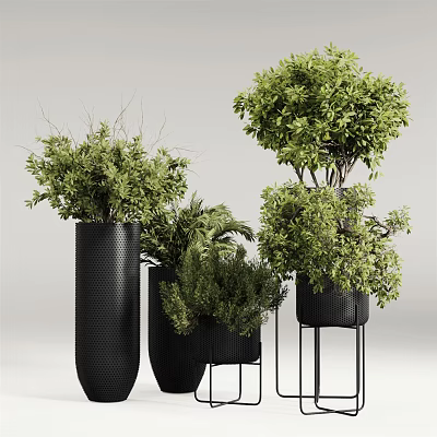 Stylish Bonsai Potted Plants in Black Planters with Metal Stands for Indoor Decor 3d model