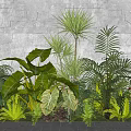 Plant Combination Of Green Plants Large Leaves Ferns Palms Red Accents Against Gray Stone Wall