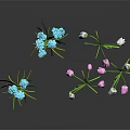 Vibrant Garden Plants with Blue White Pink Flowers and Green Leaves