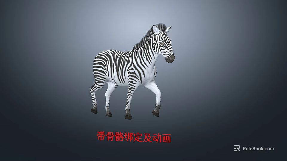Detailed 3D Striped Zebra Model With Skeleton Rigging And Animation 3d model 