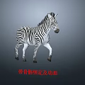 Detailed 3D Striped Zebra Model With Skeleton Rigging And Animation