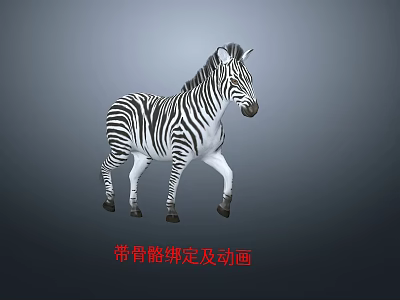 Modern Zebra Wildlife Horse Animal with Skeleton Animation 3d model