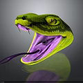 Green and Yellow Snake with Open Mouth Purple Interior Extended Tongue and Yellow Eyes