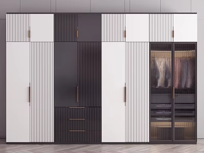 Modern Wardrobe Interior With Striped Black White Doors Glass Doors Drawers And Hanging Clothes 3d model