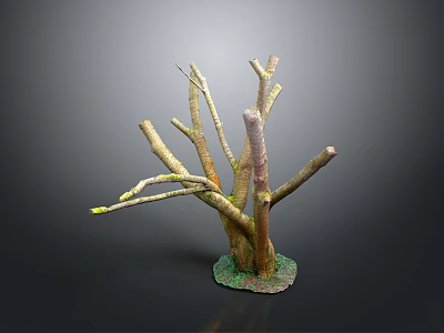 Artistic Tree Stump Model With Brown Branches Green Base And Tiny Green Shoot 3d model