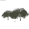Trees Plants Forest Greening Street Trees Landscape Trees Park Forest Simulation Plant Decorations Game Scene Props 3d model