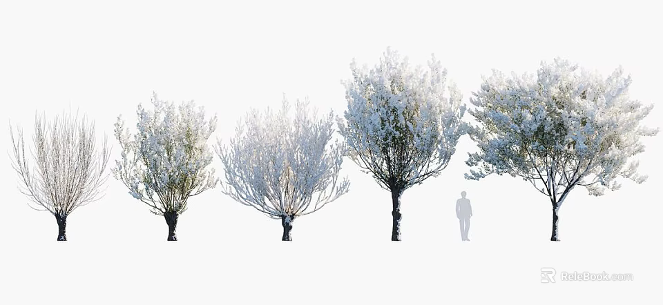 Blooming Arbor Trees In Various Shapes With Human Figure For Size Comparison 3d model