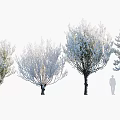 Blooming Arbor Trees In Various Shapes With Human Figure For Size Comparison 3d model