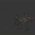 Metallic Mantis Sculpture With Long Legs And Antennae On Dark Background