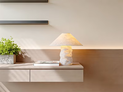 Modern Stone Base Table Lamp On Wooden Shelf With Green Plant And Books 3d model