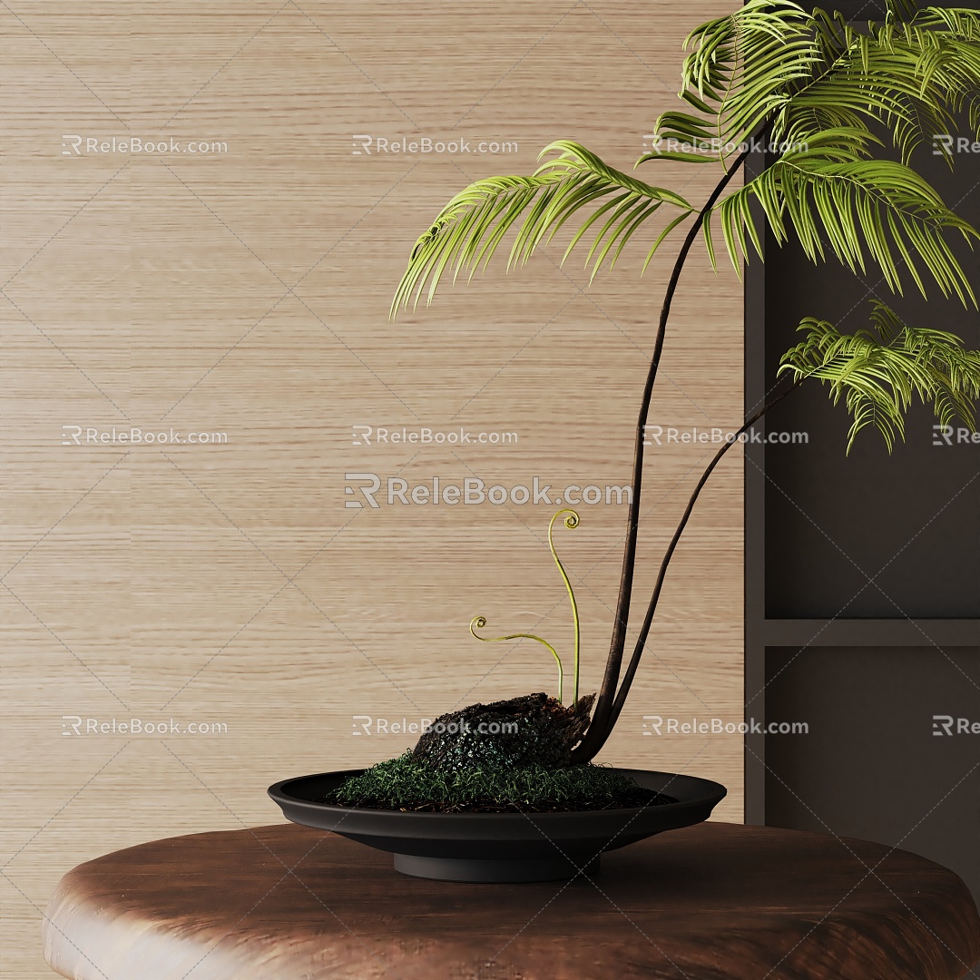 Modern Potted Plant 3d model