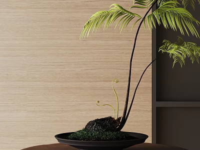 Fern Bonsai Plant with Green Leaves in Black Pot on Brown Table against Wooden Wall 3d model