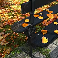 Black Garden Bench With Yellow Maple Leaves And Scattered Fallen Leaves In Autumn