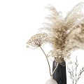 Dried Pampas Grass and Umbelliferous Flowers in Decorative White Dark Colored Vases for Minimalist Decor