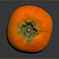 Persimmon Sketches Fruit Items 3d model