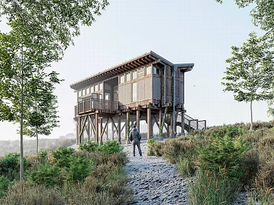 Modern wooden house homestay building stilted building 3d model