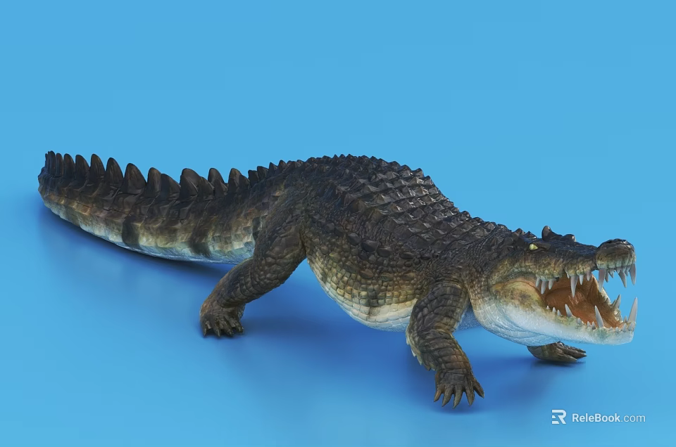 3D Crocodile Model With Open Mouth Exposed Teeth Scales Dorsal Spines On Blue Background 3d model 