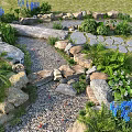 Scenic Garden Landscape With Stone Path Lush Green Plants Blue Flowers And Gravel