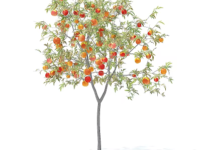 Lush Green Leafy Arbor With Abundant Ripe Red And Orange Fruits 3d model