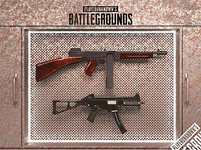 PUBG Themed Decorative Ornament Set Featuring Two Guns in Metal Grid Case 3d model