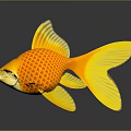 Orange and Yellow Goldfish With Scaly Texture On Black Background And Reflection 3d model