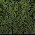 High Rise Residential Buildings Surrounded by Green Lawns Trees and Landscaped Areas