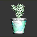 Indoor Cactus Plant In Teal And White Mosaic Decorative Pot On Dark Reflective Surface