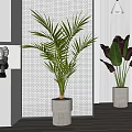 Potted Plants In Modern Interior With Tropical Leaves White Pots Tiled Wall And Decorative Elements
