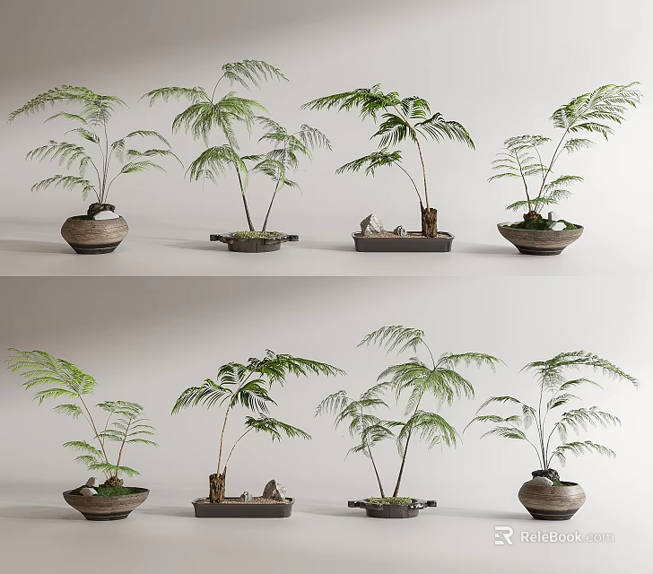 Elegant Bonsai Plants in Ceramic Pots with Various Foliage Shapes for Indoor Decoration 3d model 