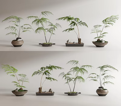 Elegant Bonsai Plants in Ceramic Pots with Various Foliage Shapes for Indoor Decoration 3d model