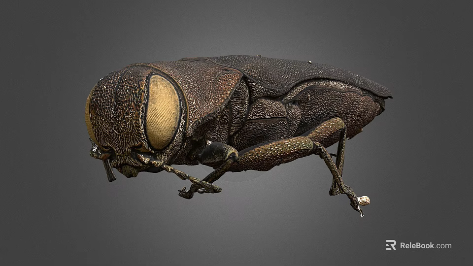 Detailed View Of Beetle With Large Compound Eyes And Brown Exoskeleton 3d model 