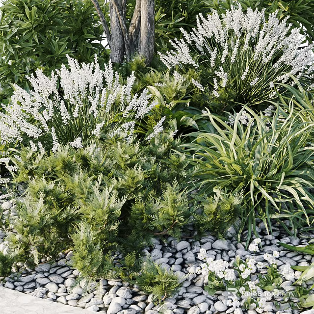 Flowers and Plants With White Blooms and Green Foliage in Garden Setting With Pebbles 3d model 