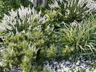 Flowers and Plants With White Blooms and Green Foliage in Garden Setting With Pebbles 3d model