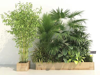 Bonsai Potted Plants With Various Green Plants Including Bamboo And Palm Leaves In Wooden Planters 3d model