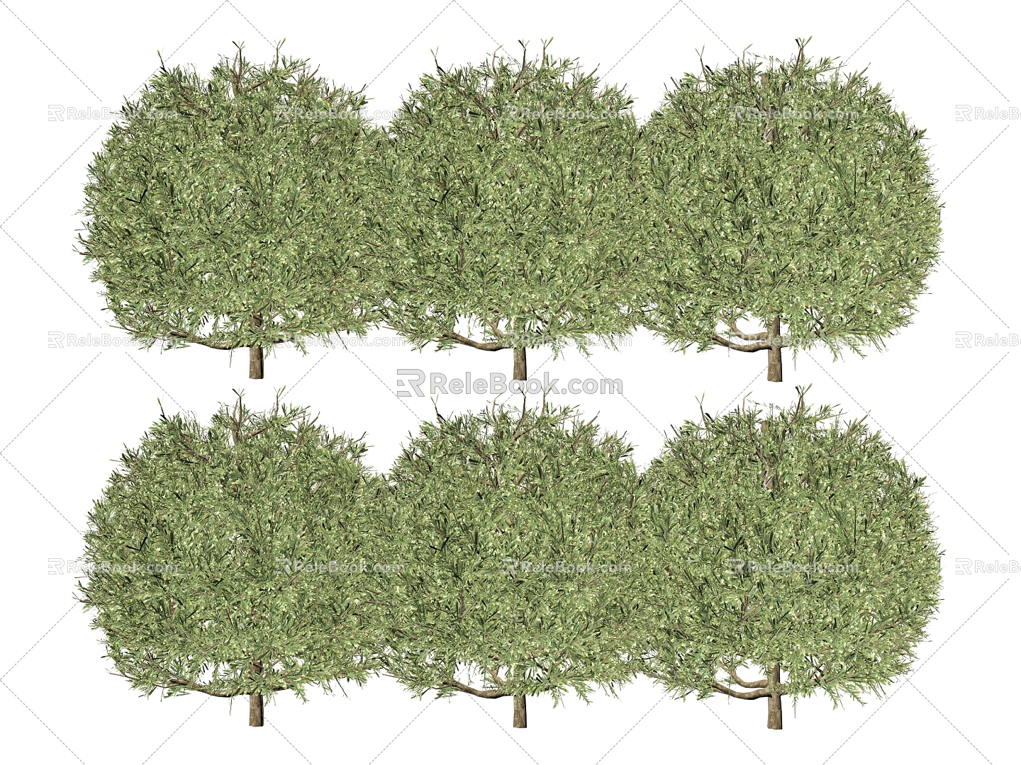 Plant Shrubs 3d model