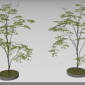 Two Green Leafy Trees Standing on Circular Stone Bases With Grass 3d model