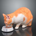 Orange and white cat eating food from a bowl on a black surface in studio setting