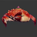 Vibrant Spiky Crab With Red And Yellow Shell And Small Green Object On Top