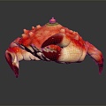 Modern Crab Sea Crab River Crab Hairy Crab 3d model