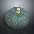 Green Pumpkin with Textured Surface and Brown Stem Fresh Organic Healthy Food
