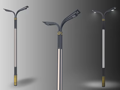Public Facility Modern Street Light With Metal Pole Decorative Golden Accent And Illuminated Top 3d model